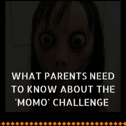 MOMO challenge