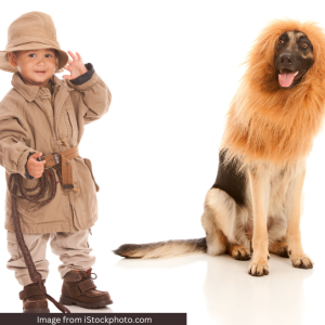 last minute DIY Halloween Costumes - Safari